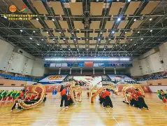 九游体育-体操锦标赛掀起高潮,关东白虎队逆转江汉天狼队,高压逼抢奏功——外援联手发威